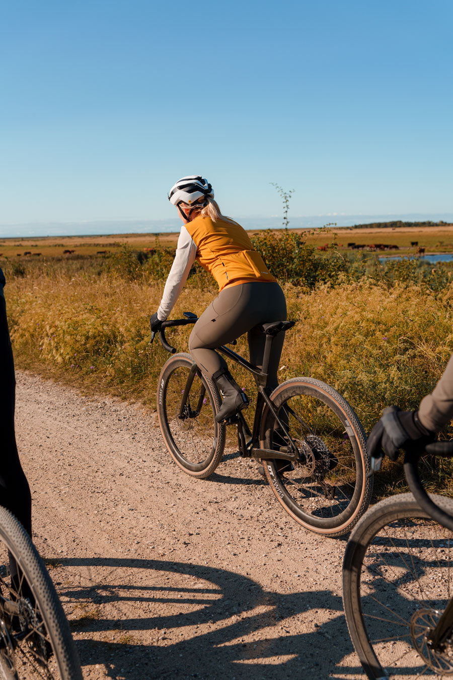 Il Biondo Element Langærmet Cykeltrøje Termo Dame - Gul/Råhvid