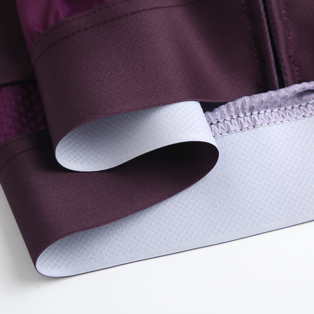 Astral Premium Tech Langærmet Cykeltrøje Dame - Grape